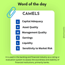 Understanding the CAMELS Rating System - Bankopedia