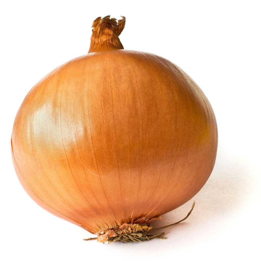 1200Px Onion On White